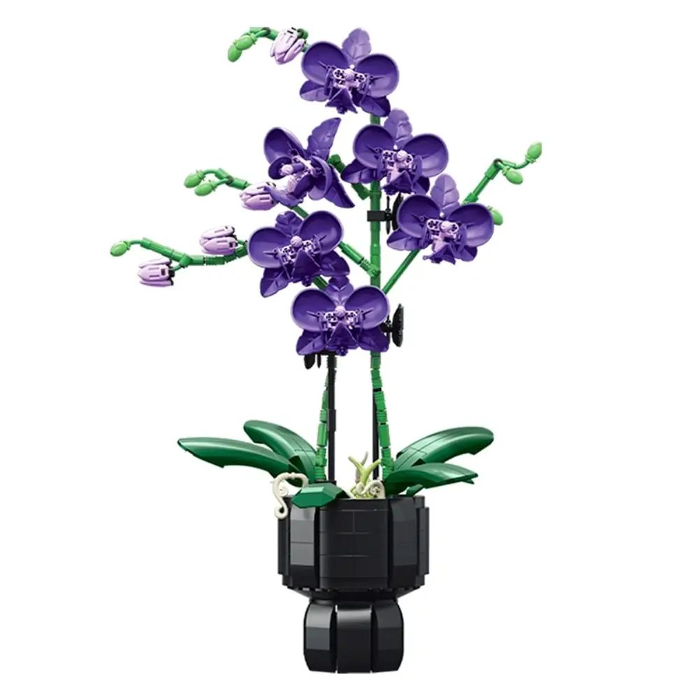 JIESTAR Elegant Violet