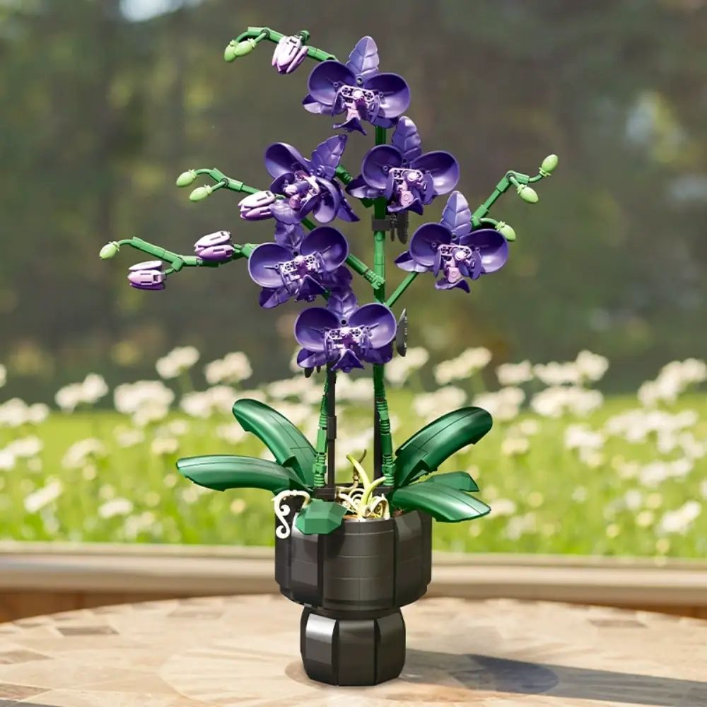 JIESTAR Elegant Violet