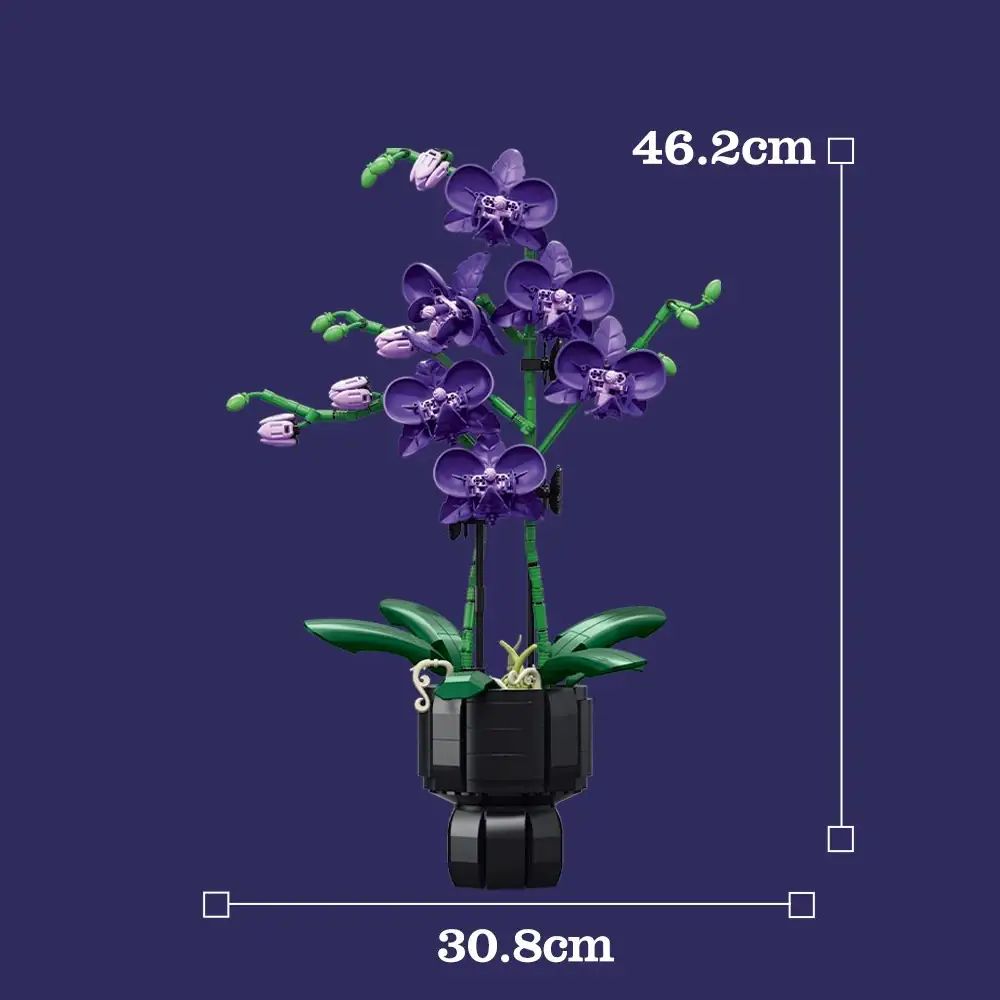 JIESTAR Elegant Violet