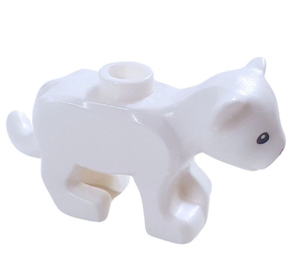 Der Baby Löwe hat einen Noppen auf dem Rücken.