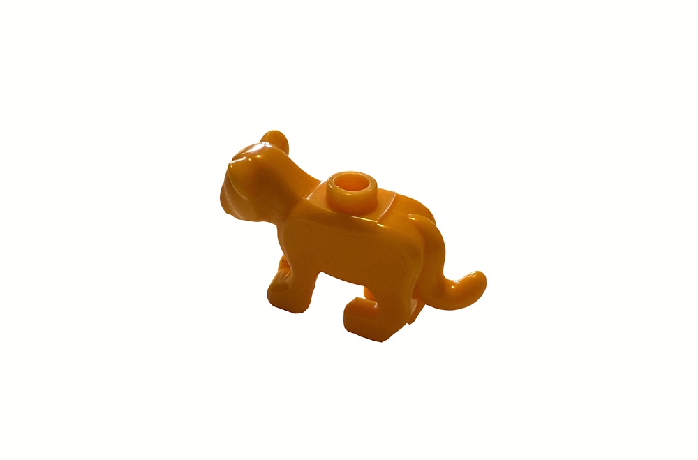 Der Baby Löwe hat einen Noppen auf dem Rücken.