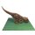 Klemos KL-40075 Klemmbaustein Dinosaurier Carnotaurus groß mit Sound