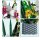 Mould King 10025 Orchidee