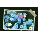 Jie Star JJ9131 Glockenblume