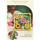 Jie Star JJ9027 Early Summer