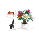 Jie Star JJ9036 Chrysanthemum potted plant