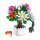 Jie Star JJ9036 Chrysanthemum potted plant