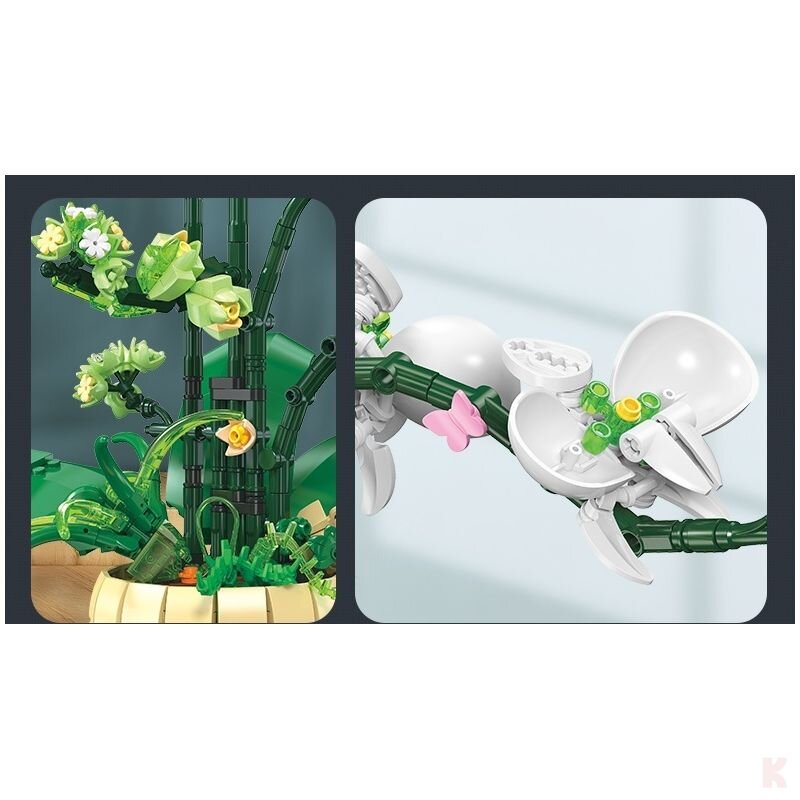 Jie Star JJ9067 Orchideen