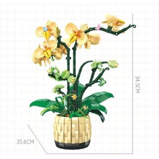 Jie Star JJ9067 Orchideen