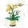 Jie Star JJ9067 Orchid Grace