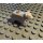 Klemos KL-40147 Klemmbaustein Bär grau