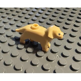 Klemos KL-40153 Klemmbaustein Hundewelpe beige