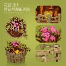 Jie Star JJ9109 Chrysanthemum Morifolium