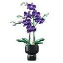 Jie Star JJ9235 violette Orchidee