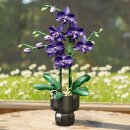 Jie Star JJ9235 violette Orchidee