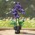 Jie Star JJ9235 violette Orchidee