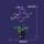 Jie Star JJ9235 violette Orchidee