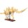 CaDA C59012W Stegosaurus Fossil