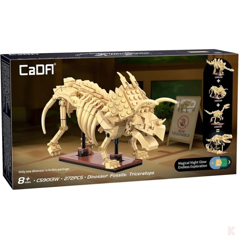 CaDA C59013W Triceratops Fossil