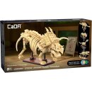 CaDA C59013W Triceratops Fossil