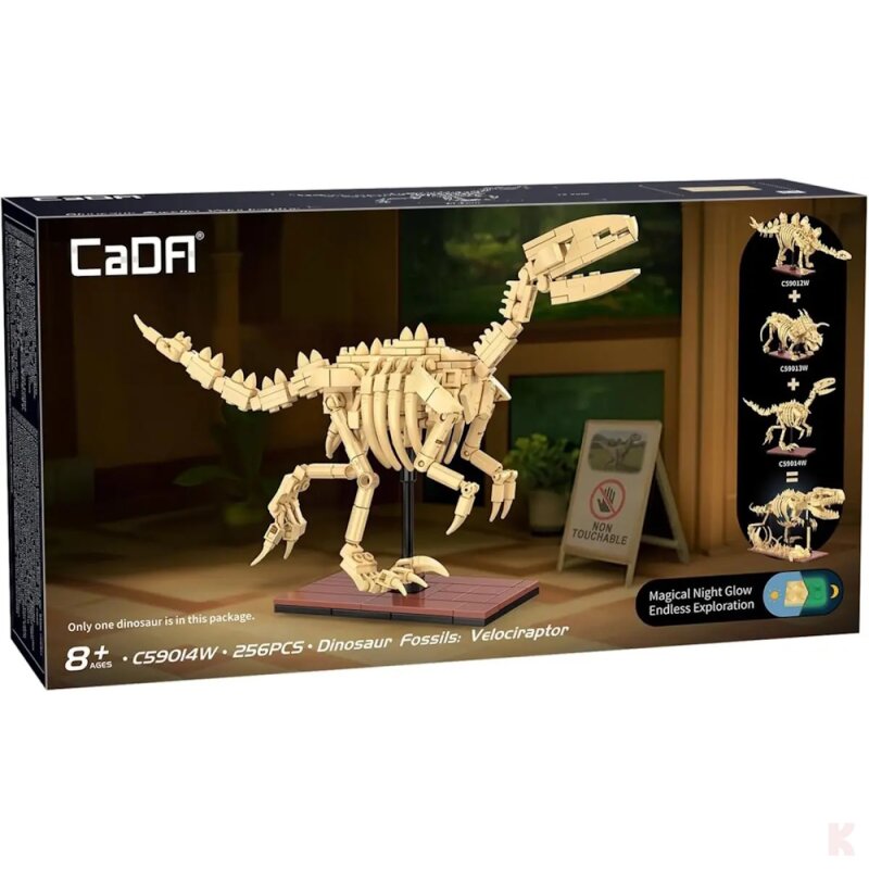 CaDA C59014W Velociraptor Fossil