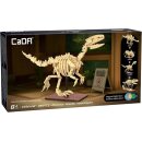 CaDA C59014W Velociraptor Fossil