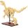 CaDA C59014W Velociraptor Fossil